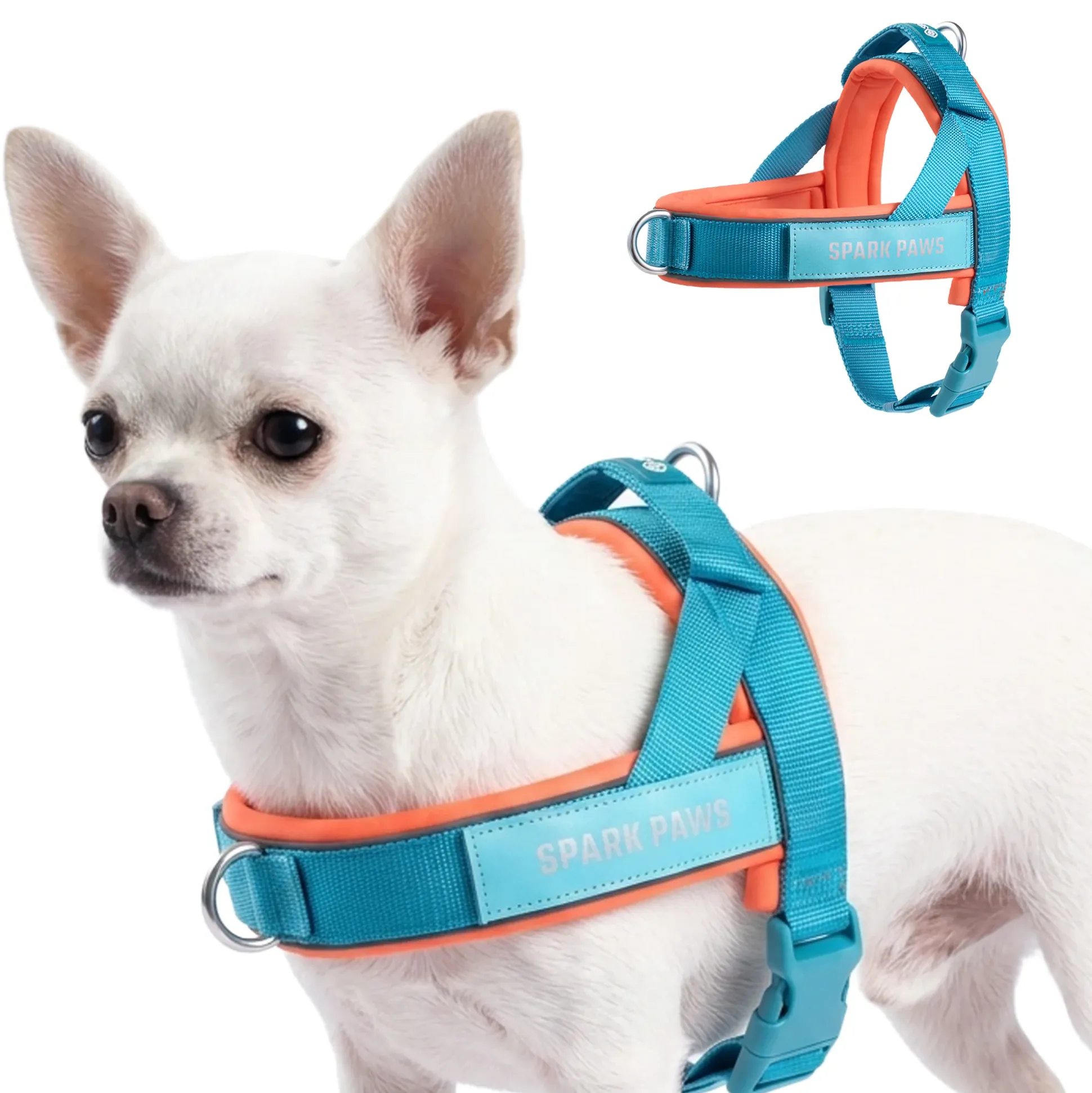 Grab & Go Harness - Teal & Apricot