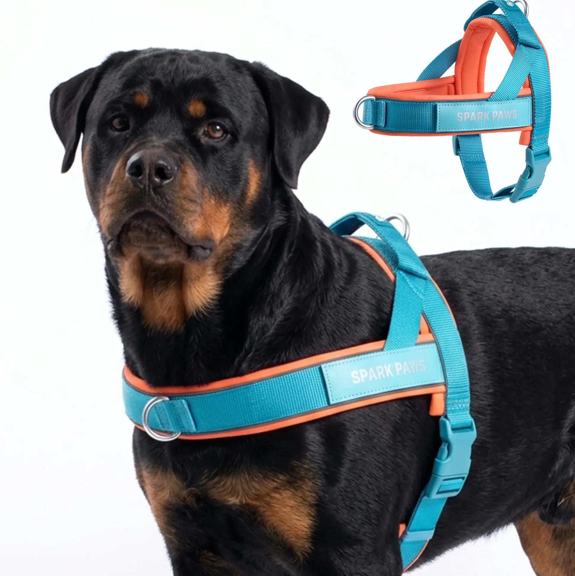 Grab & Go Harness - Teal & Apricot
