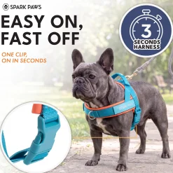 Grab & Go Harness - Teal & Apricot