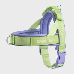 Grab & Go Harness - Violet Lime