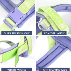 Grab & Go Harness - Violet Lime