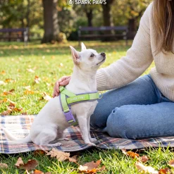 Grab & Go Harness - Violet Lime