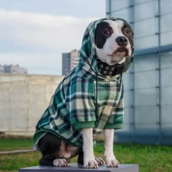 Green Plaid Dog Hoodie