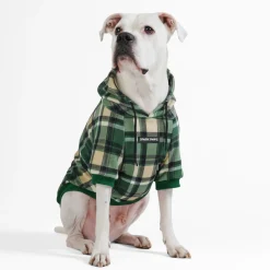 Green Plaid Dog Hoodie
