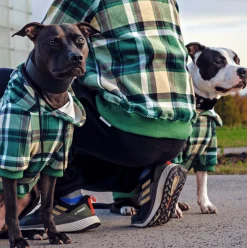 Green Plaid Human Hoodie