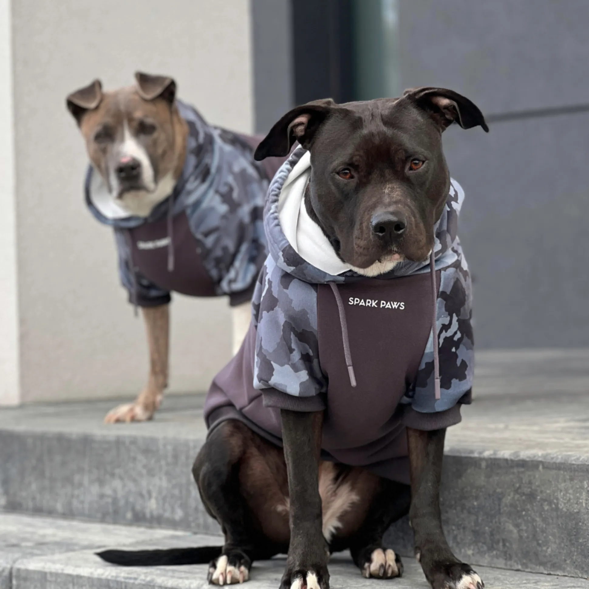 Grey Camo Dog Hoodie