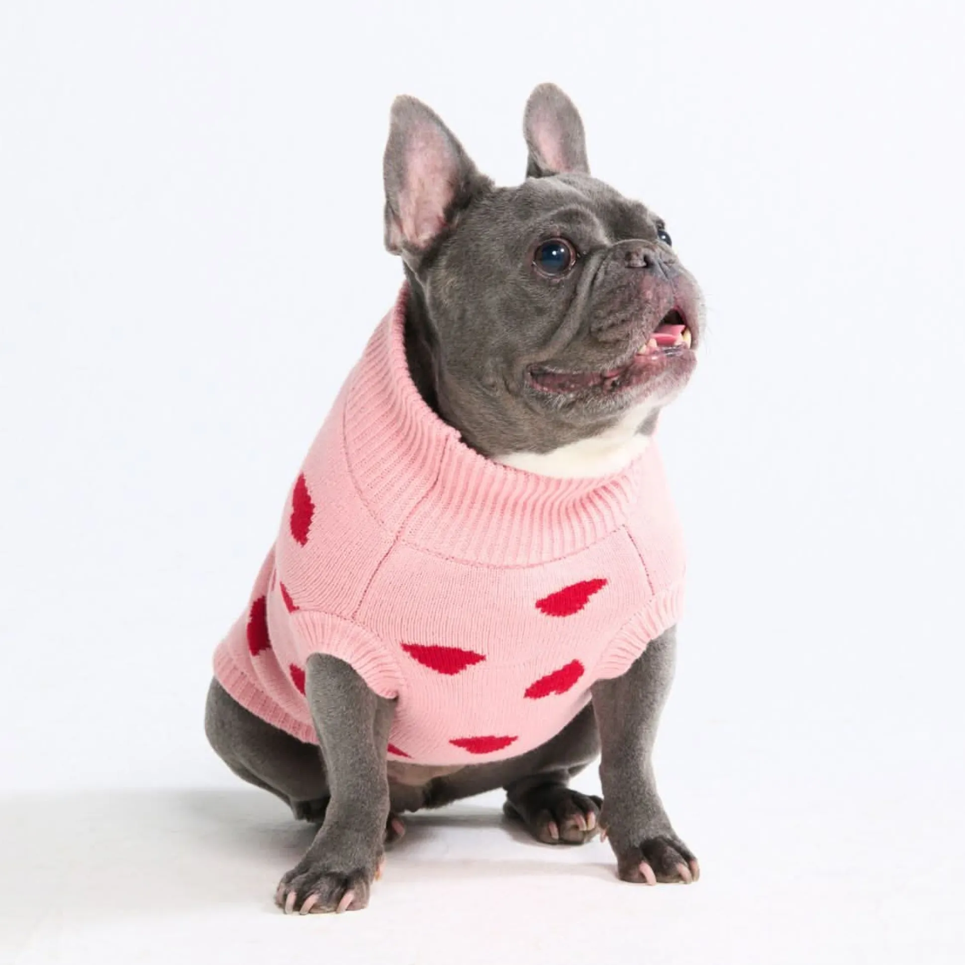 Hearts Knit Dog Sweater