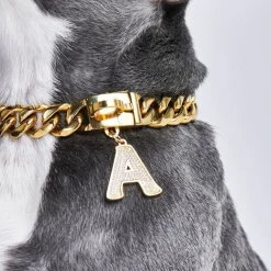Initial Letter Jewelry Tag - A