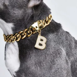 Initial Letter Jewelry Tag - B
