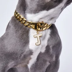Initial Letter Jewelry Tag - J