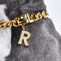 Initial Letter Jewelry Tag - R