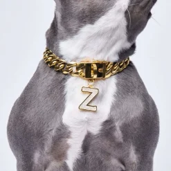 Initial Letter Jewelry Tag - Z