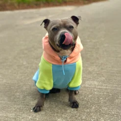 Jelly Bean Dog Hoodie