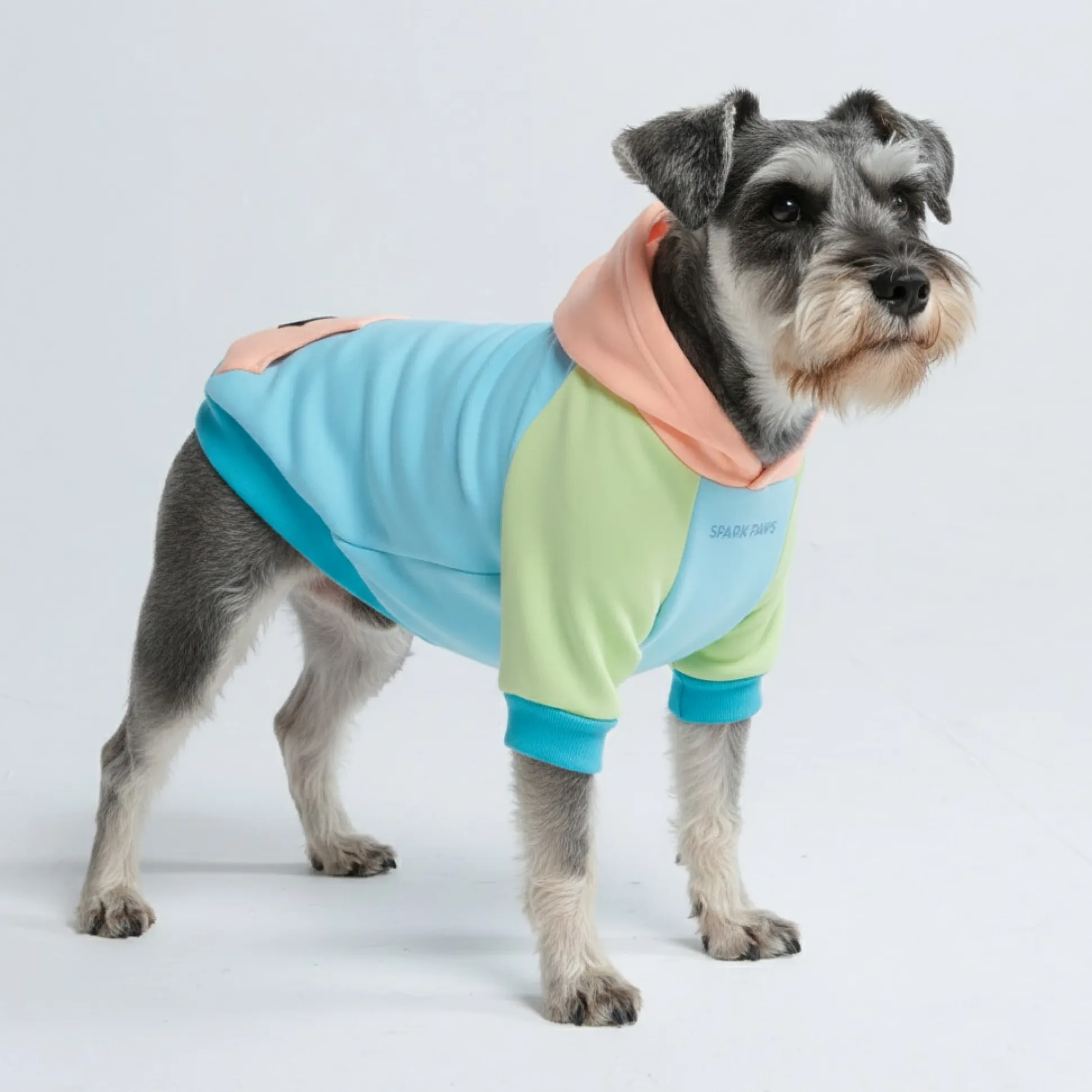 Jelly Bean Dog Hoodie