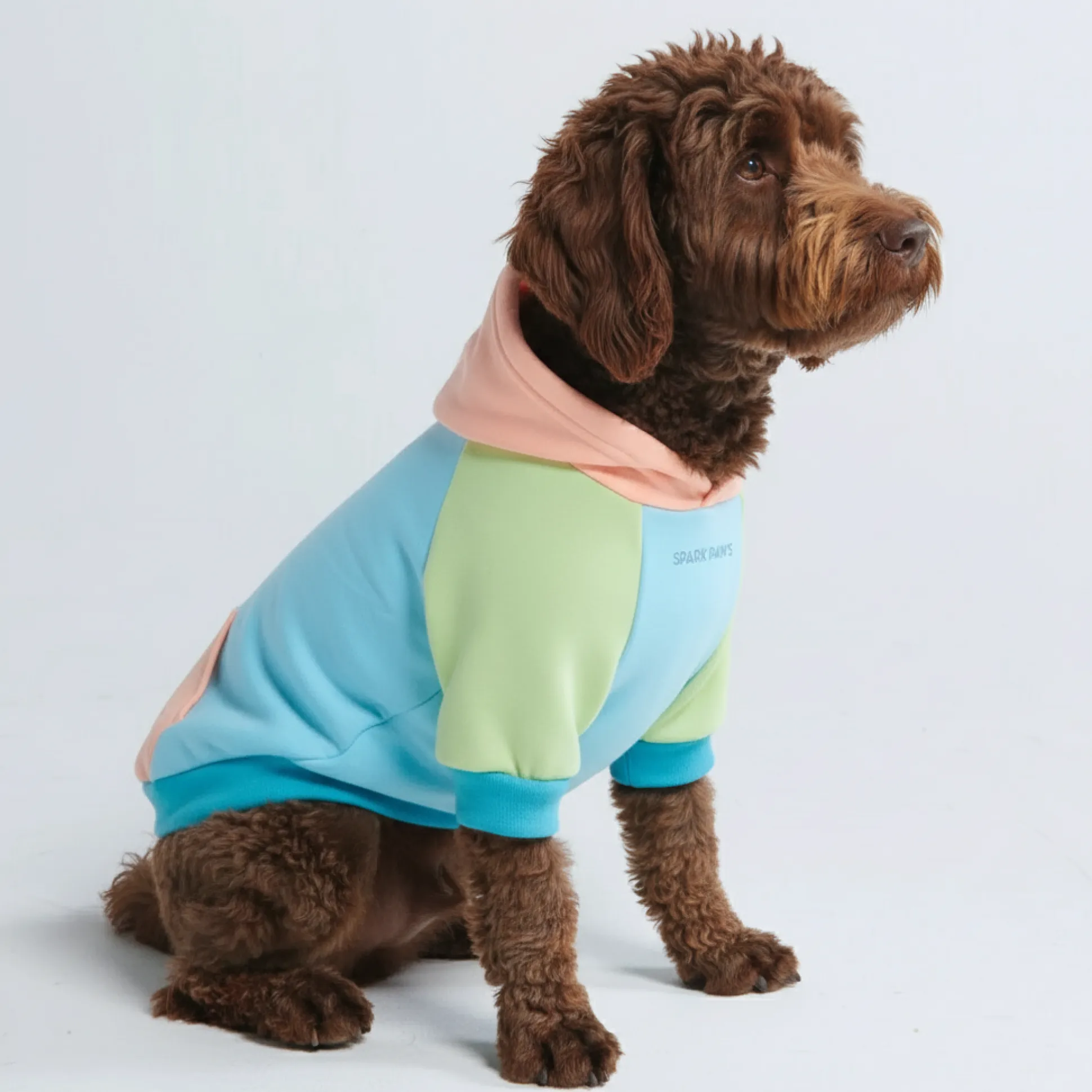 Jelly Bean Dog Hoodie