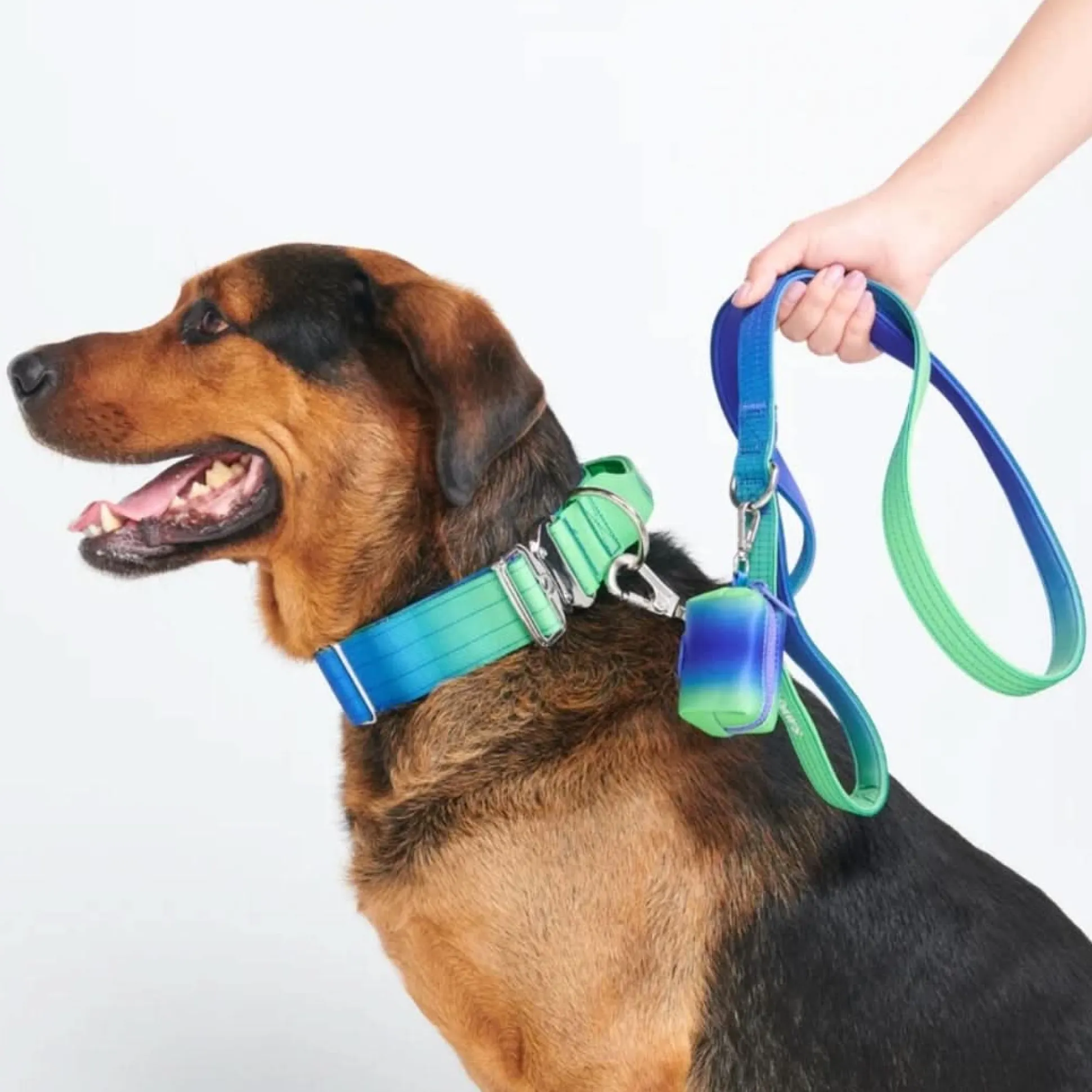 Leash and Poop Bag Holder Set