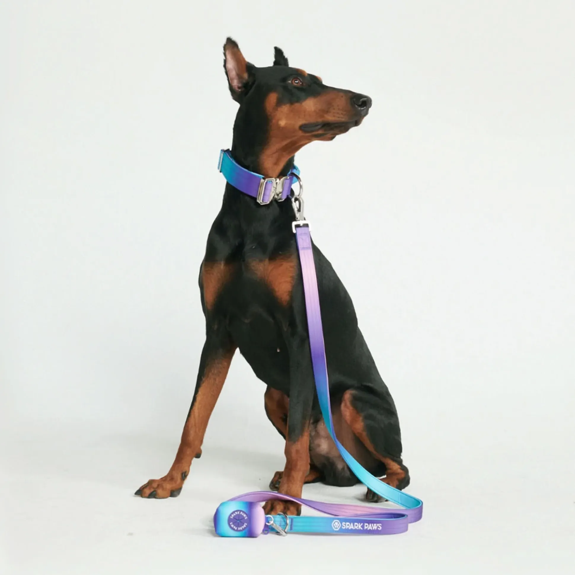 Leash and Poop Bag Holder Set