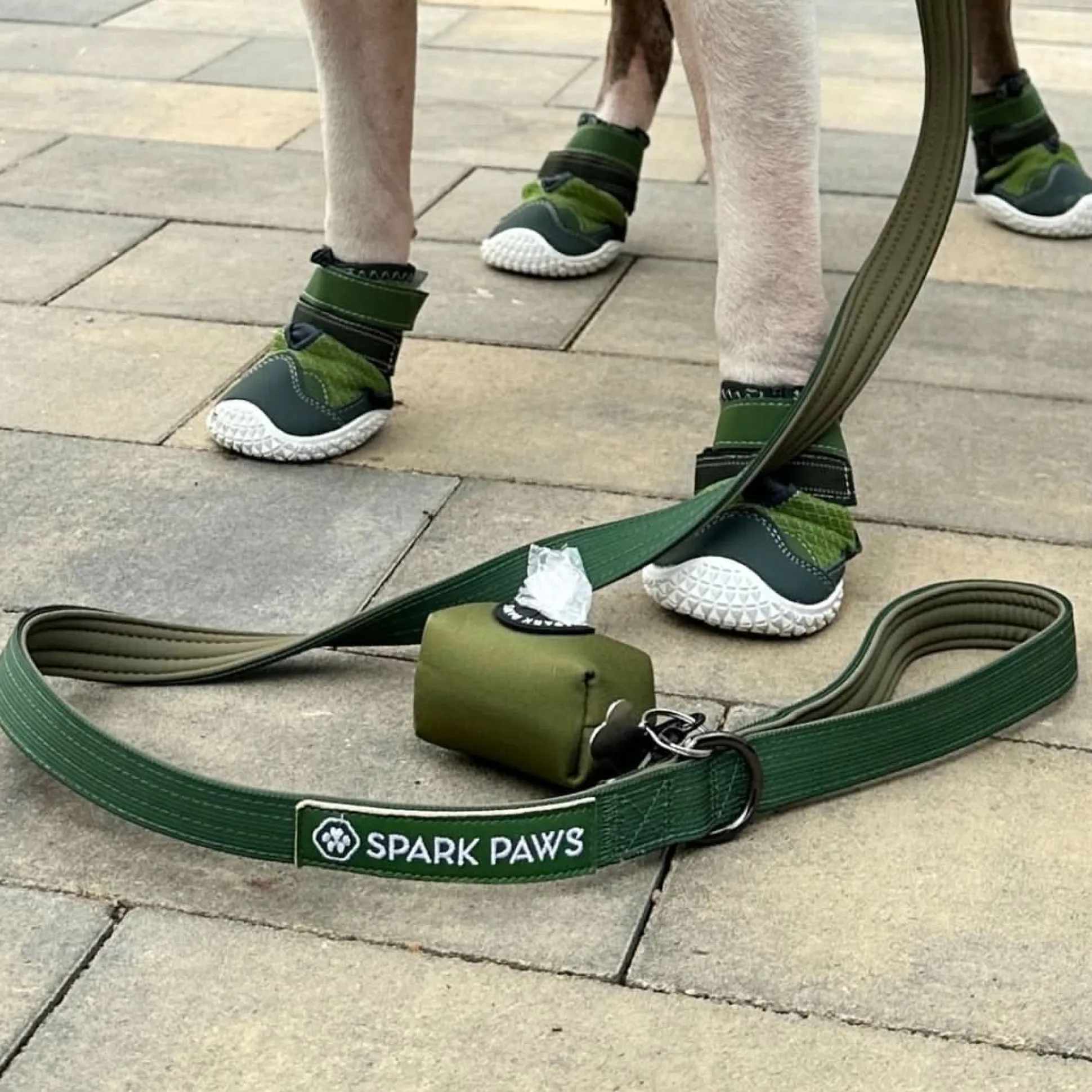 Leash and Poop Bag Holder Set