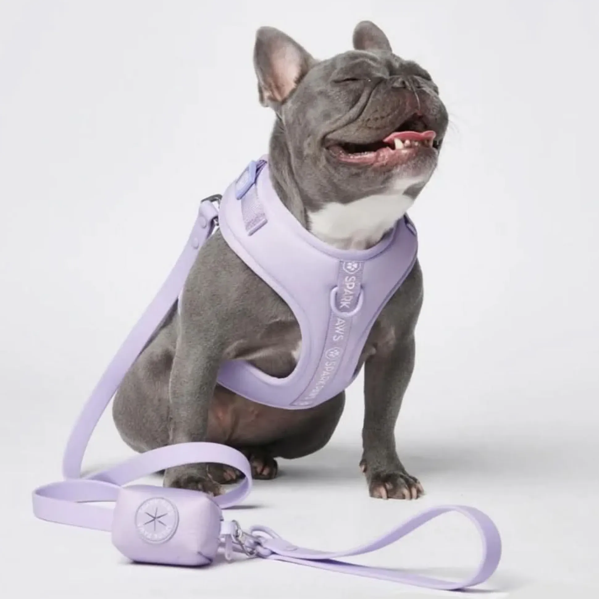 Leash and Poop Bag Holder Set