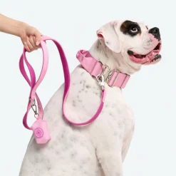 Leash and Poop Bag Holder Set
