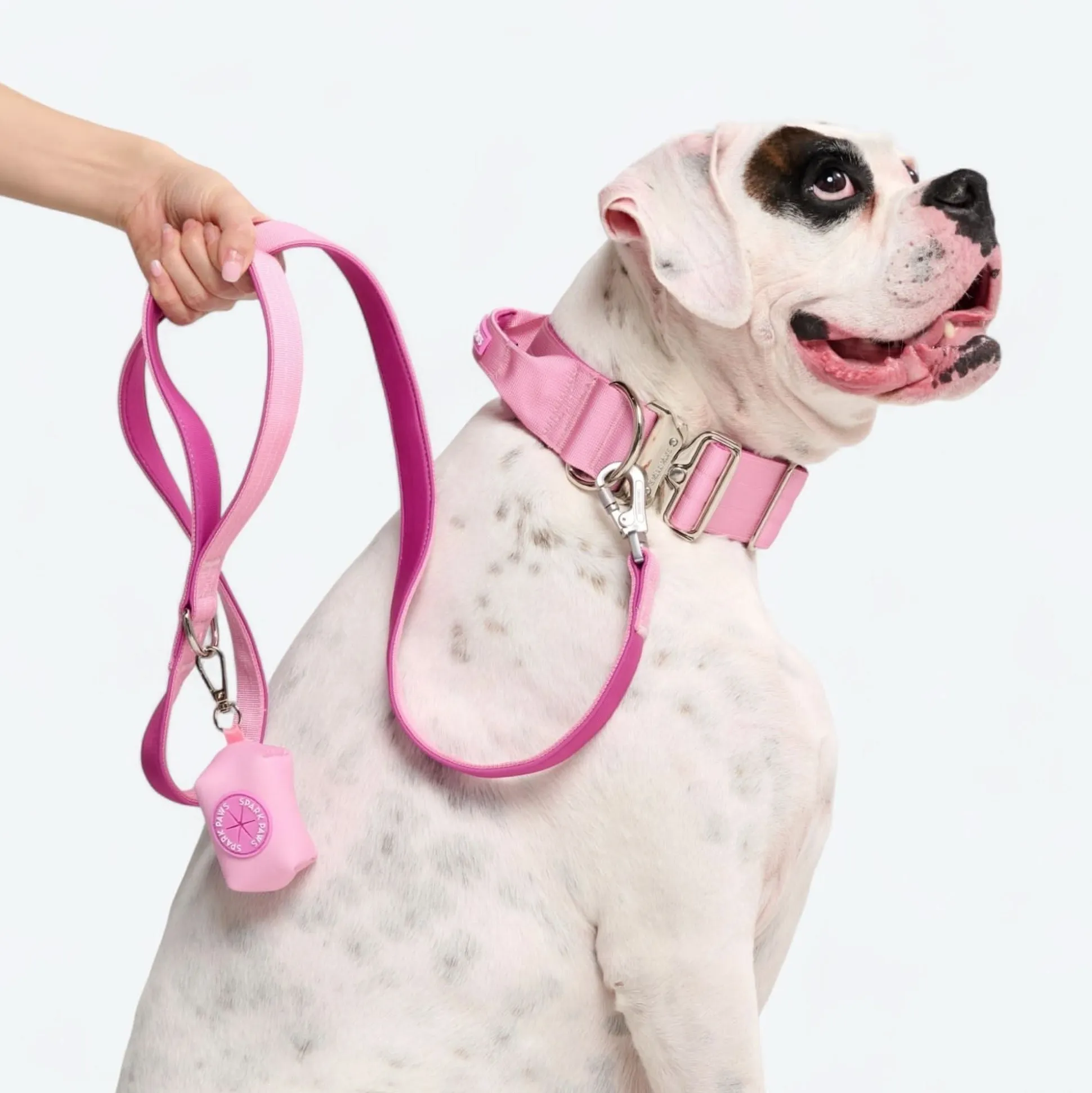 Leash and Poop Bag Holder Set