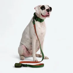 Leash and Poop Bag Holder Set