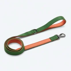 Leash and Poop Bag Holder Set