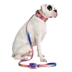 Leash and Poop Bag Holder Set
