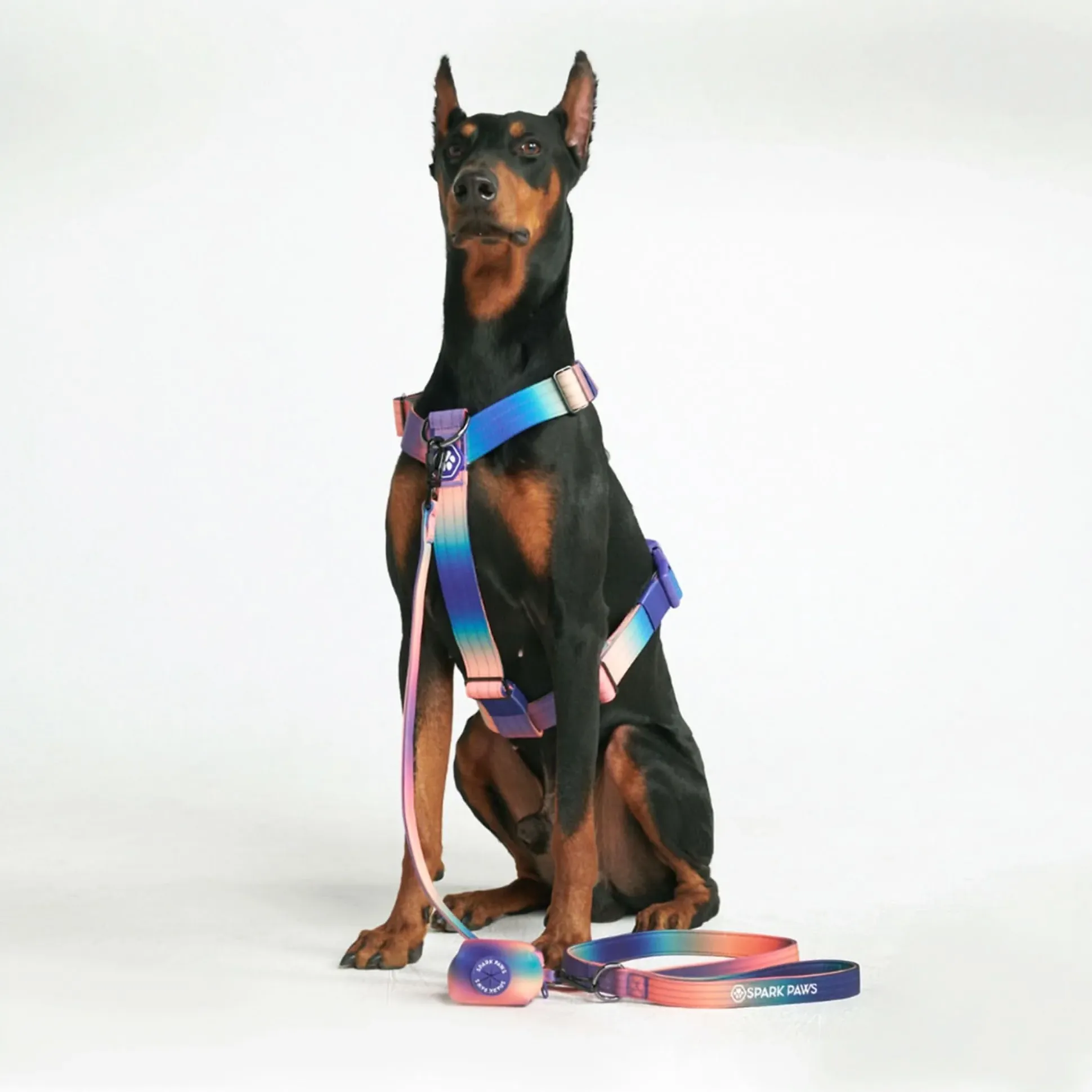 Leash and Poop Bag Holder Set