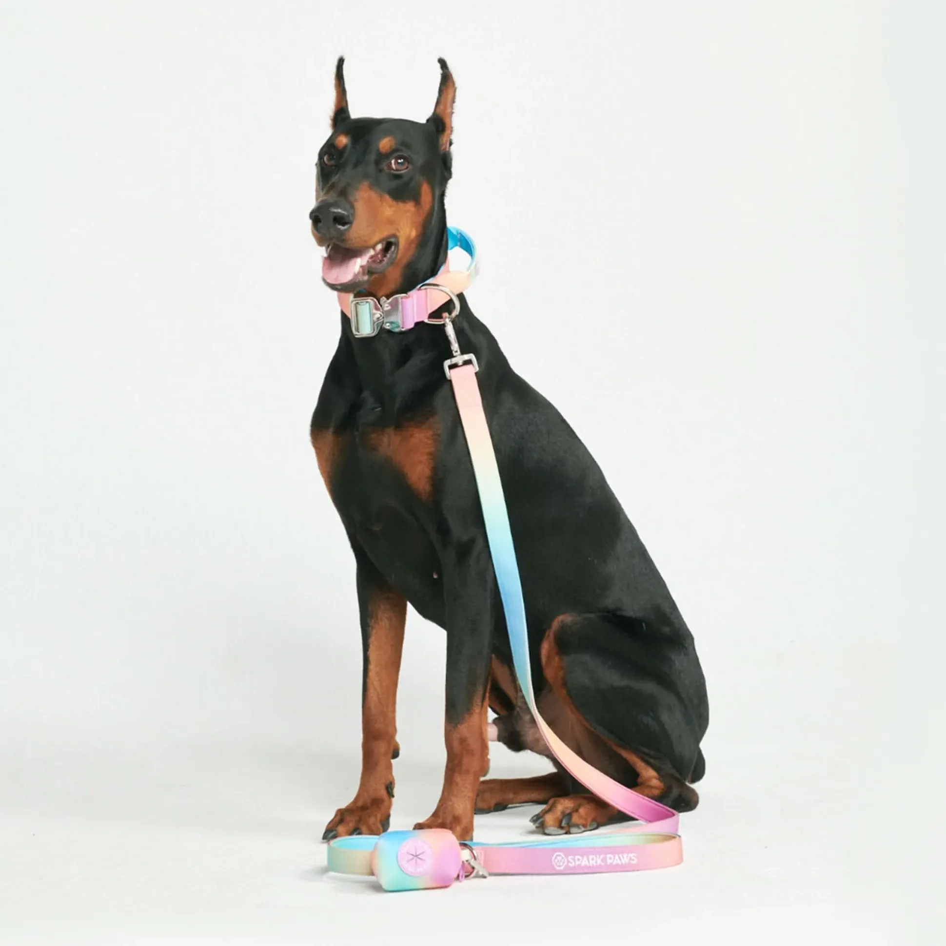 Leash and Poop Bag Holder Set