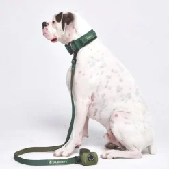 Leash and Poop Bag Holder Set - Army Green
