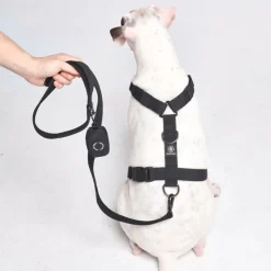 Leash and Poop Bag Holder Set - Black