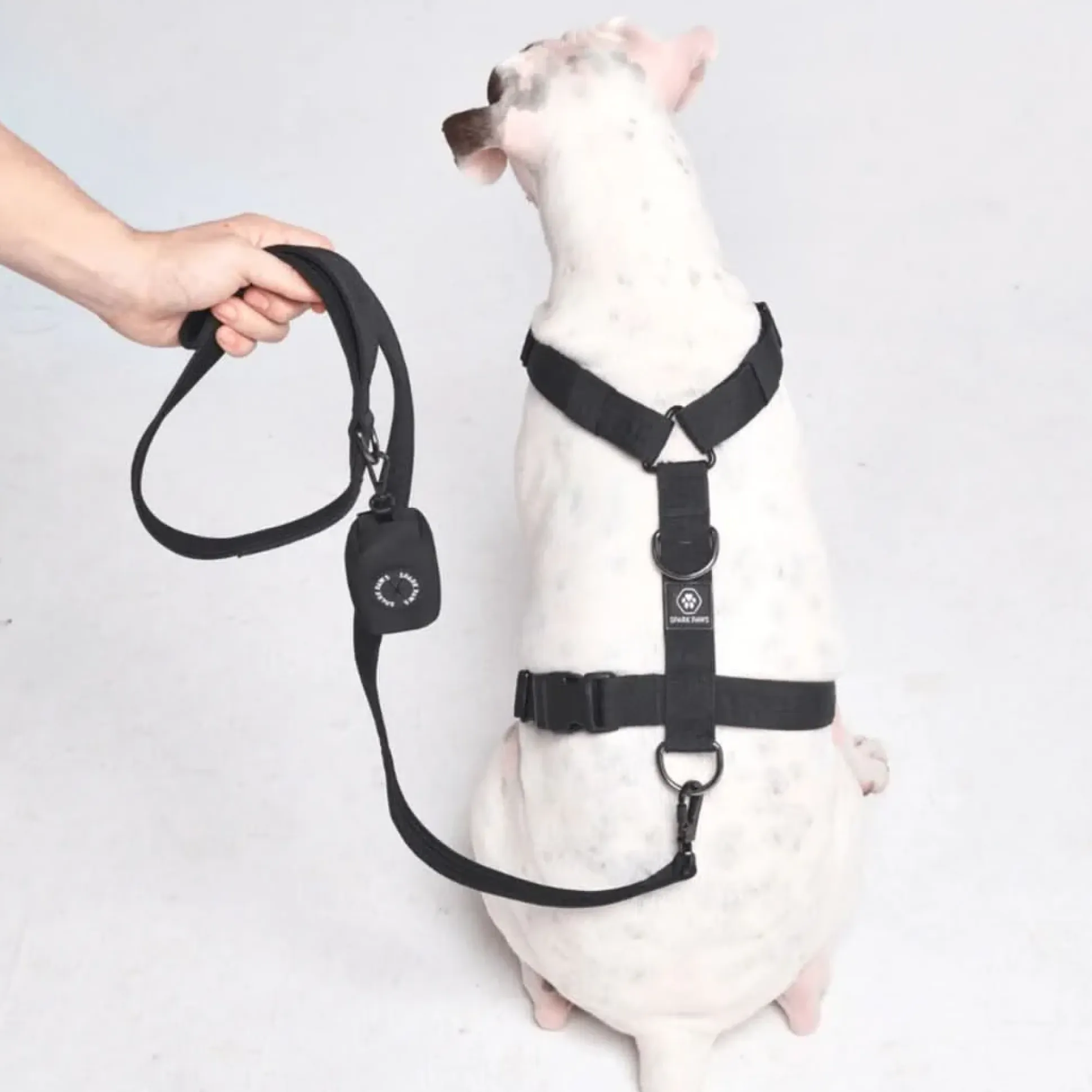 Leash and Poop Bag Holder Set - Black