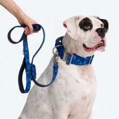 Leash and Poop Bag Holder Set - Blue Camo