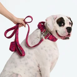 Leash and Poop Bag Holder Set - Fuchsia Camo