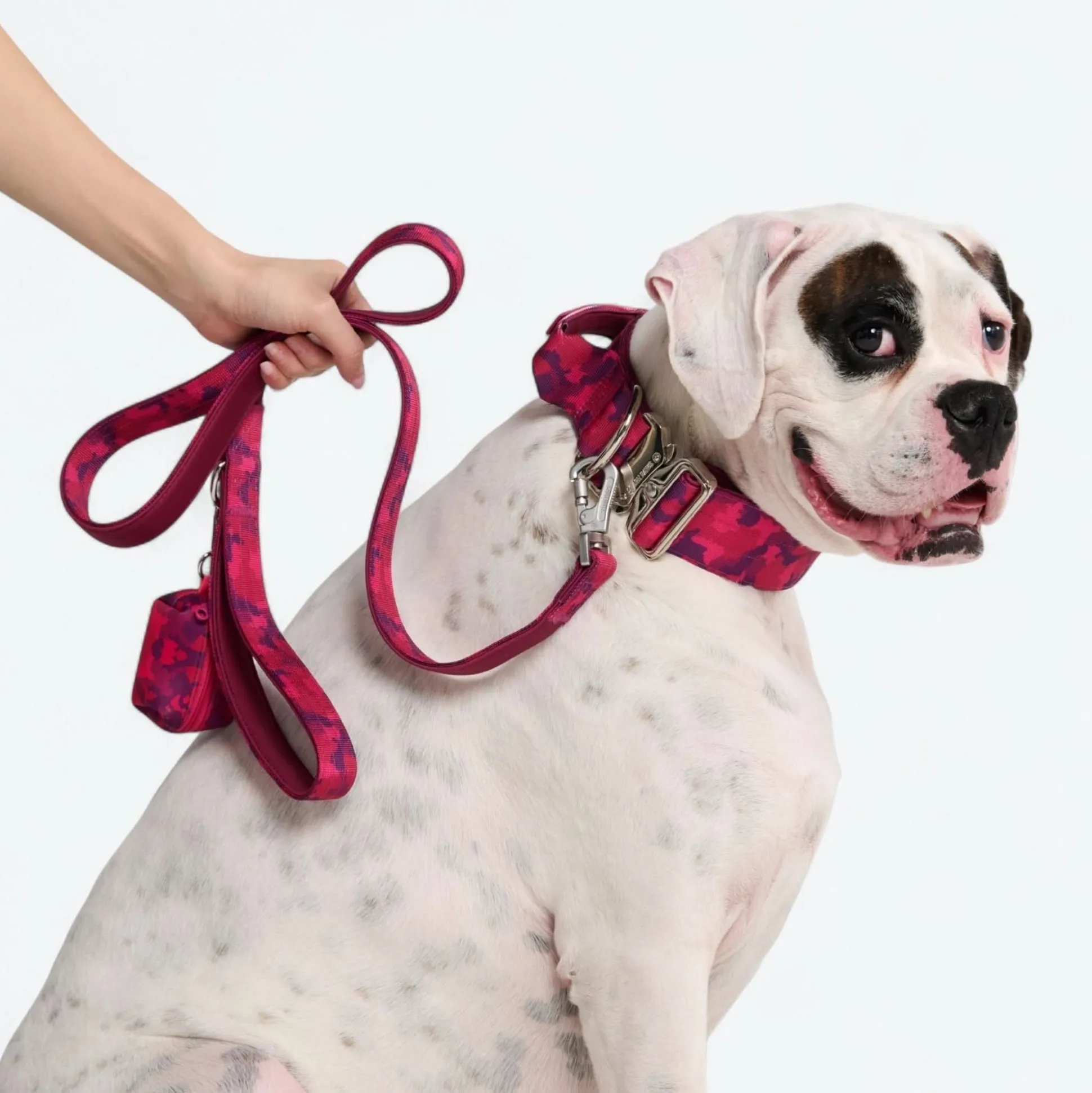 Leash and Poop Bag Holder Set - Fuchsia Camo