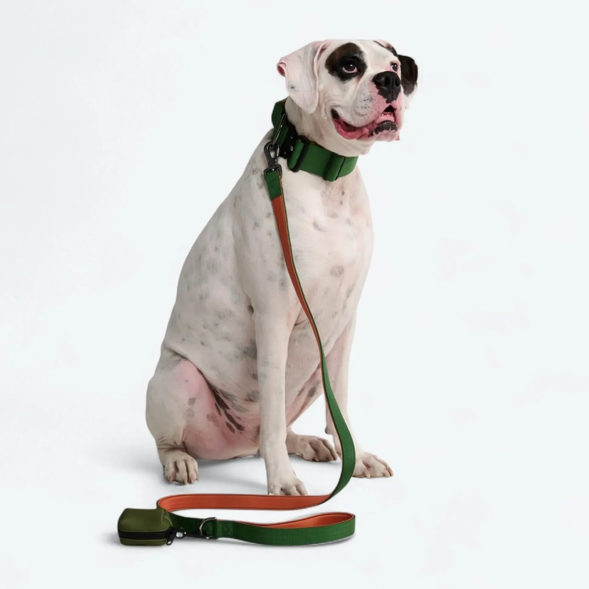 Leash and Poop Bag Holder Set - Green Orange