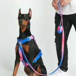 Leash and Poop Bag Holder Set - Snow Cone