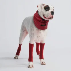 Leg Warmer and Earmuff Protector Set - Red