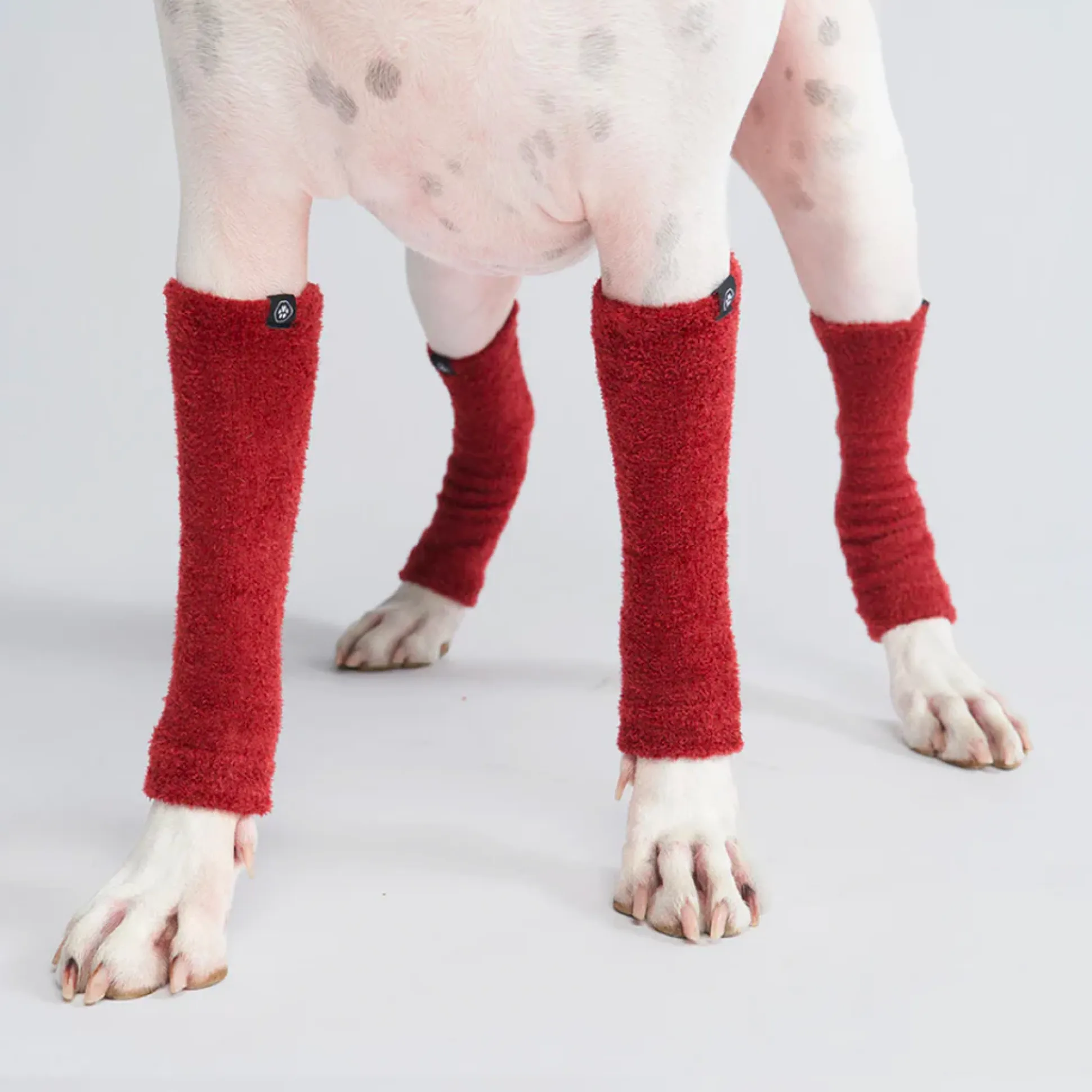 Leg Warmer and Earmuff Protector Set - Red