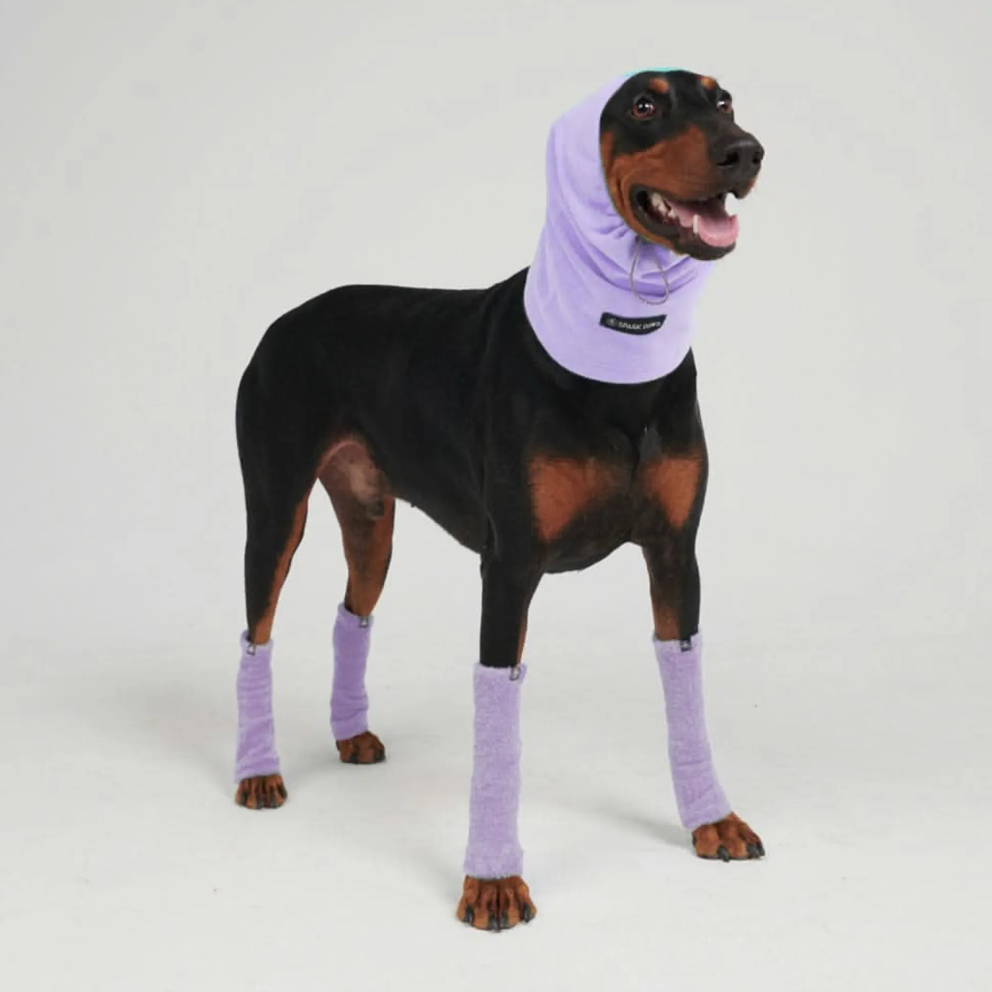 Leg Warmer and Earmuff Protector Set - Purple