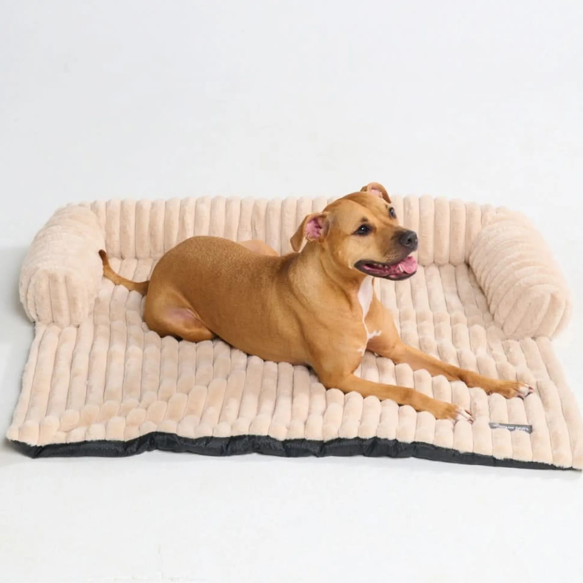 Luxury Couch Cover Dog Bed - Beige