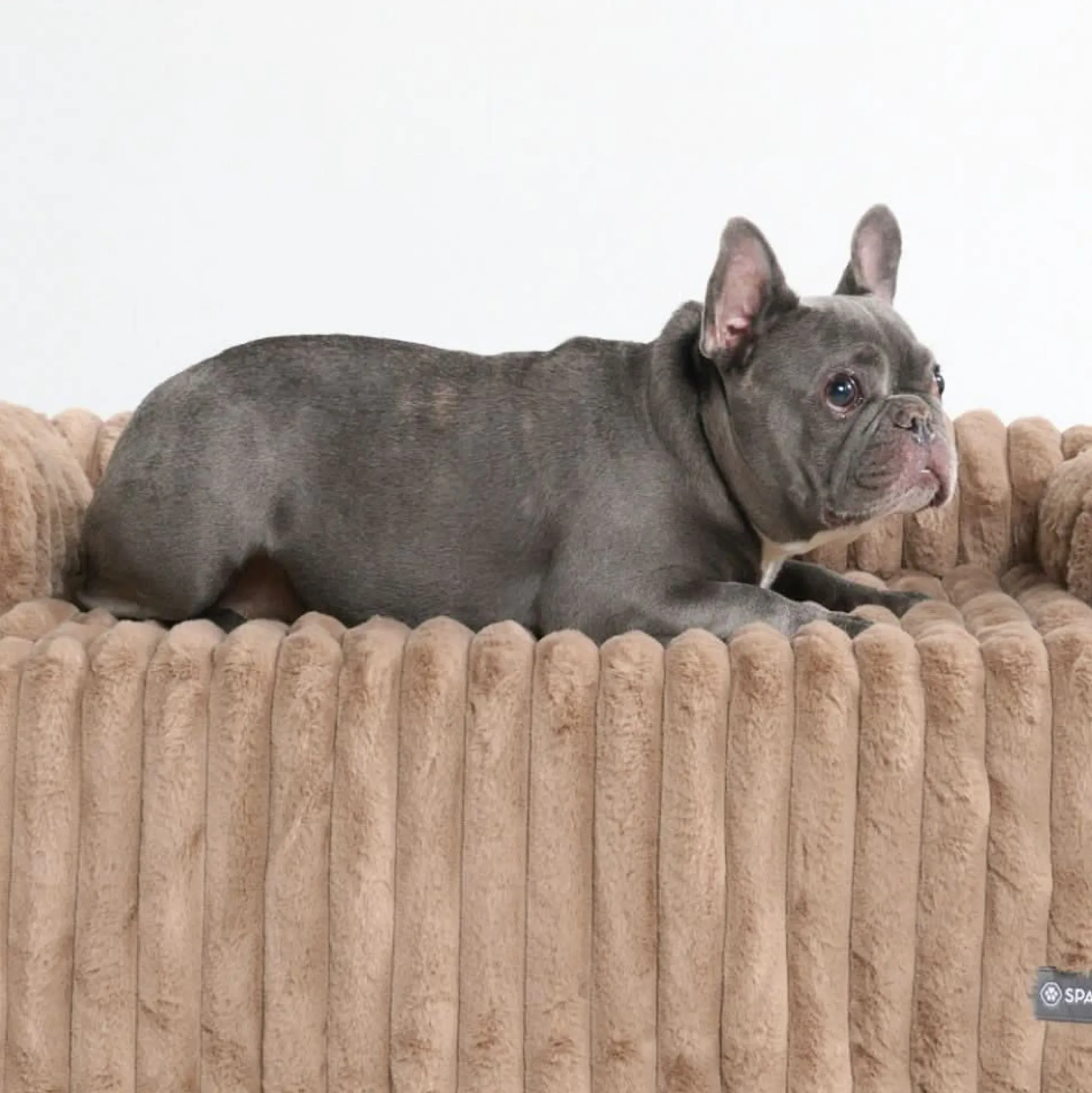 Luxury Couch Cover Dog Bed - Brown