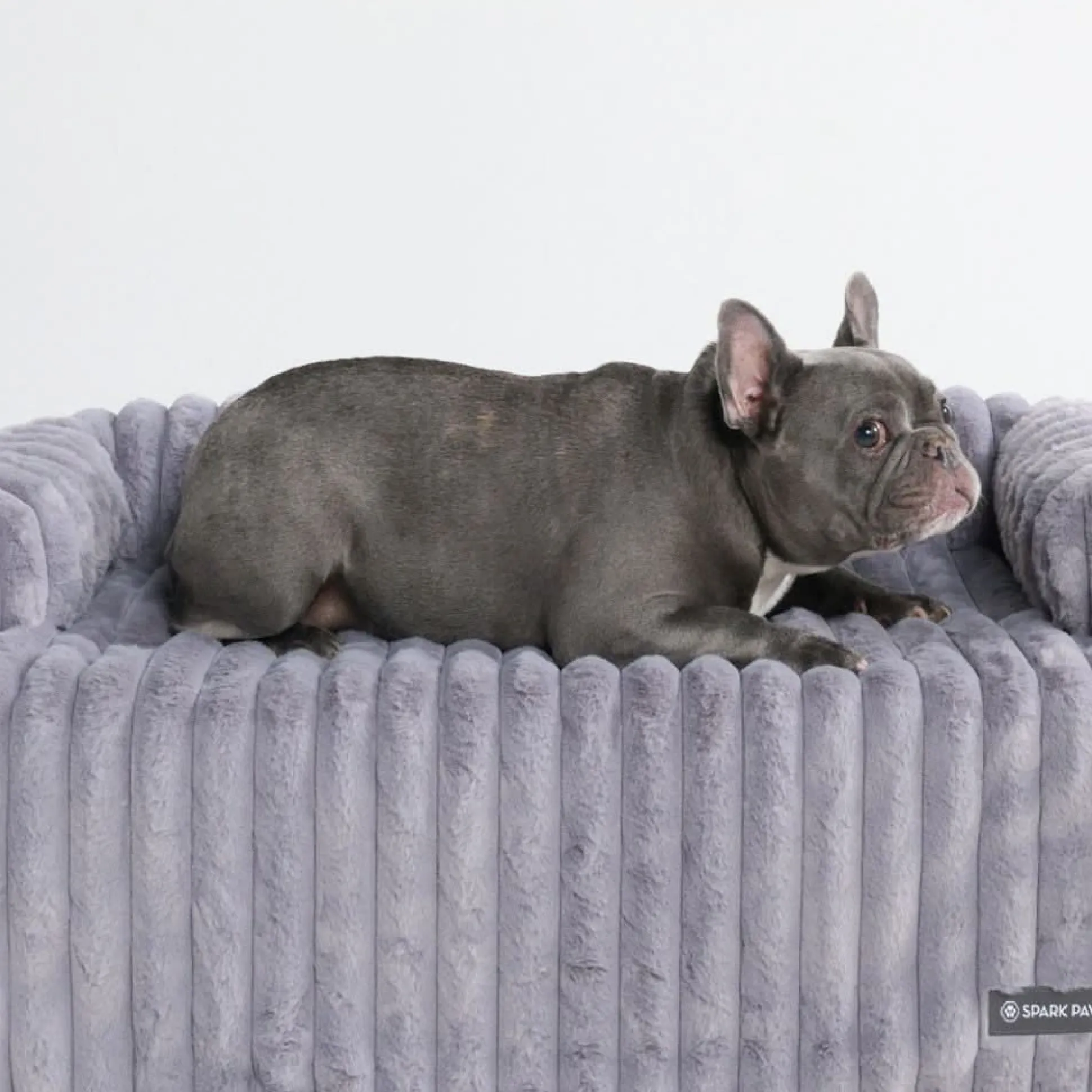 Luxury Couch Cover Dog Bed - Grey