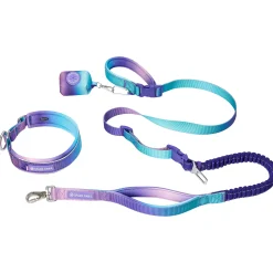 Martingale Collar and Multipurpose Leash Sets