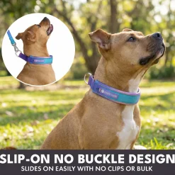 Martingale Collar and Multipurpose Leash Sets