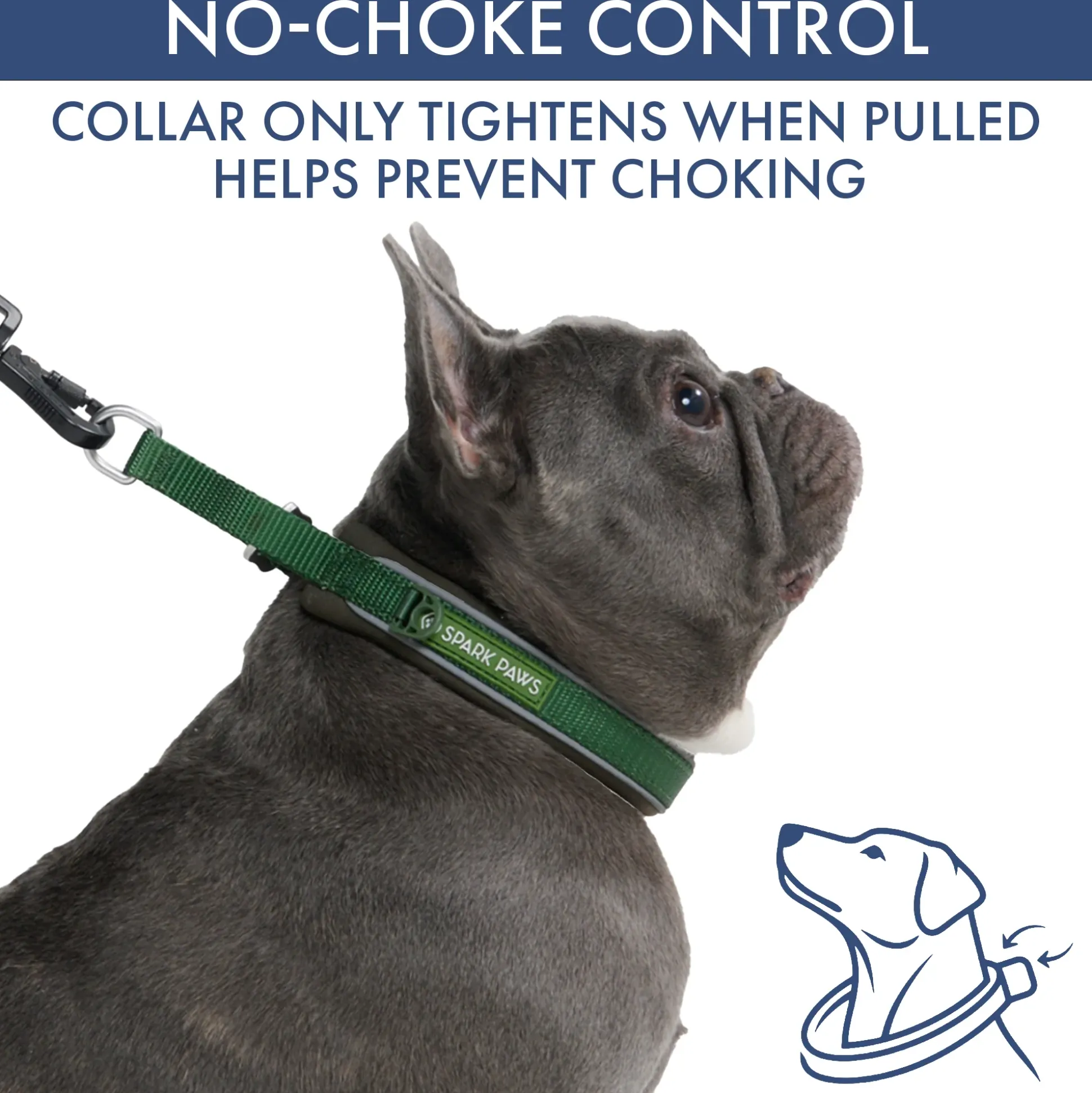 Martingale Collar and Multipurpose Leash Sets
