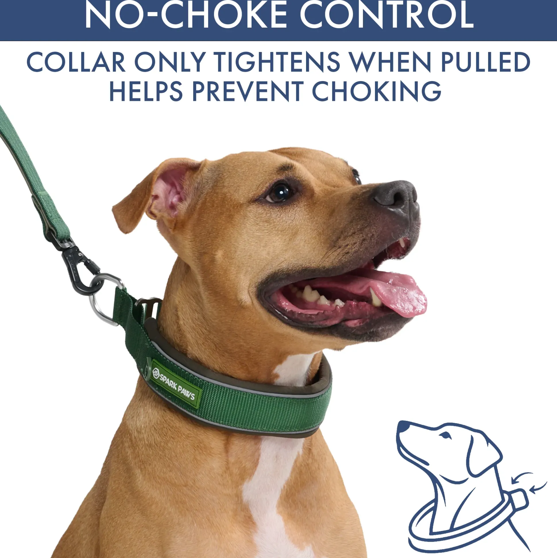 Martingale Collar and Multipurpose Leash Sets