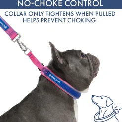 Martingale Collar and Multipurpose Leash Sets