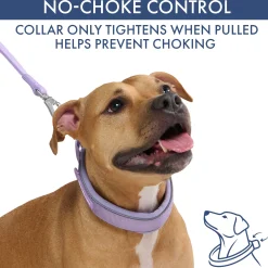 Martingale Collar and Multipurpose Leash Sets